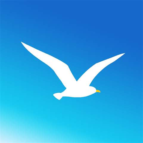 海鸥(Seagull)